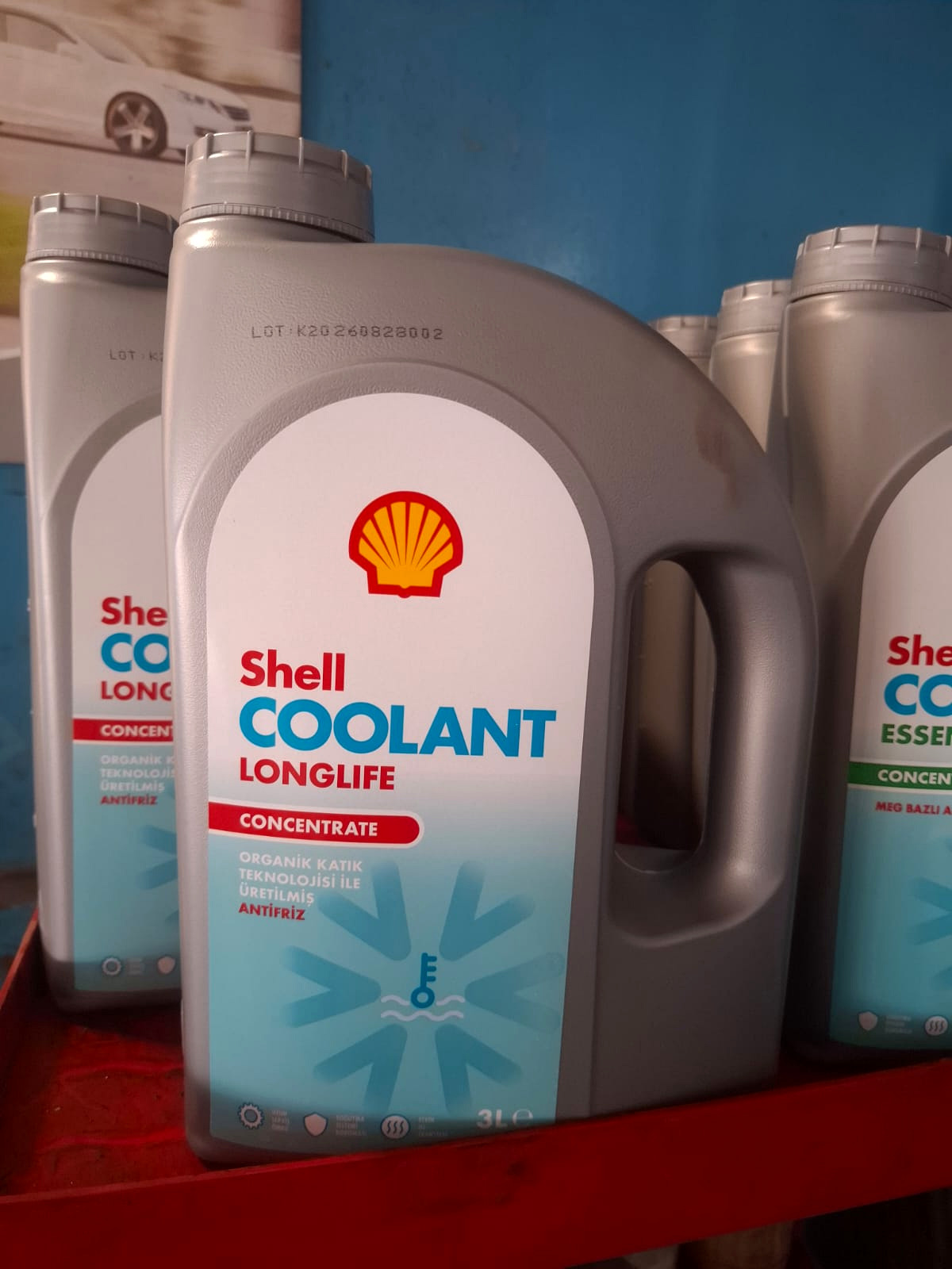 Shell Coolant Longlife uzun ömürlü antifriz